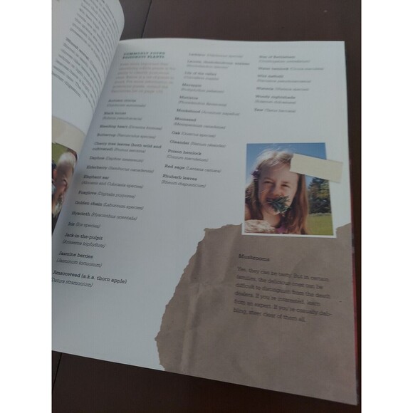 Handy Dad in the Great Outdoors by Todd. Davis (2012, Trade Paperback) - Picture 7 of 11